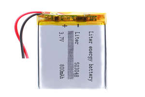 Standard Li Polymer Battery 800mAh+