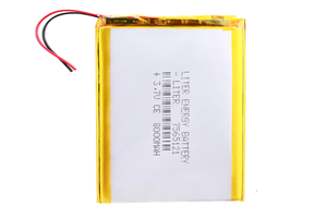 Standard Li Polymer Battery 8000mAh+